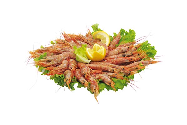 Gamberi-Argentini-L1