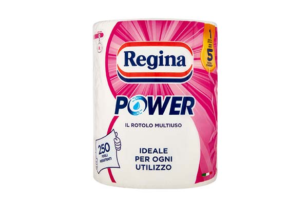 REGINA-ASCIUGAT.POWER-ROTOLO-MULTIUSO-2V