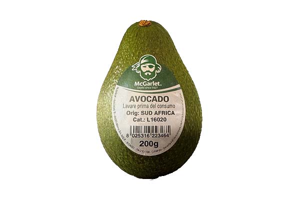 avocado