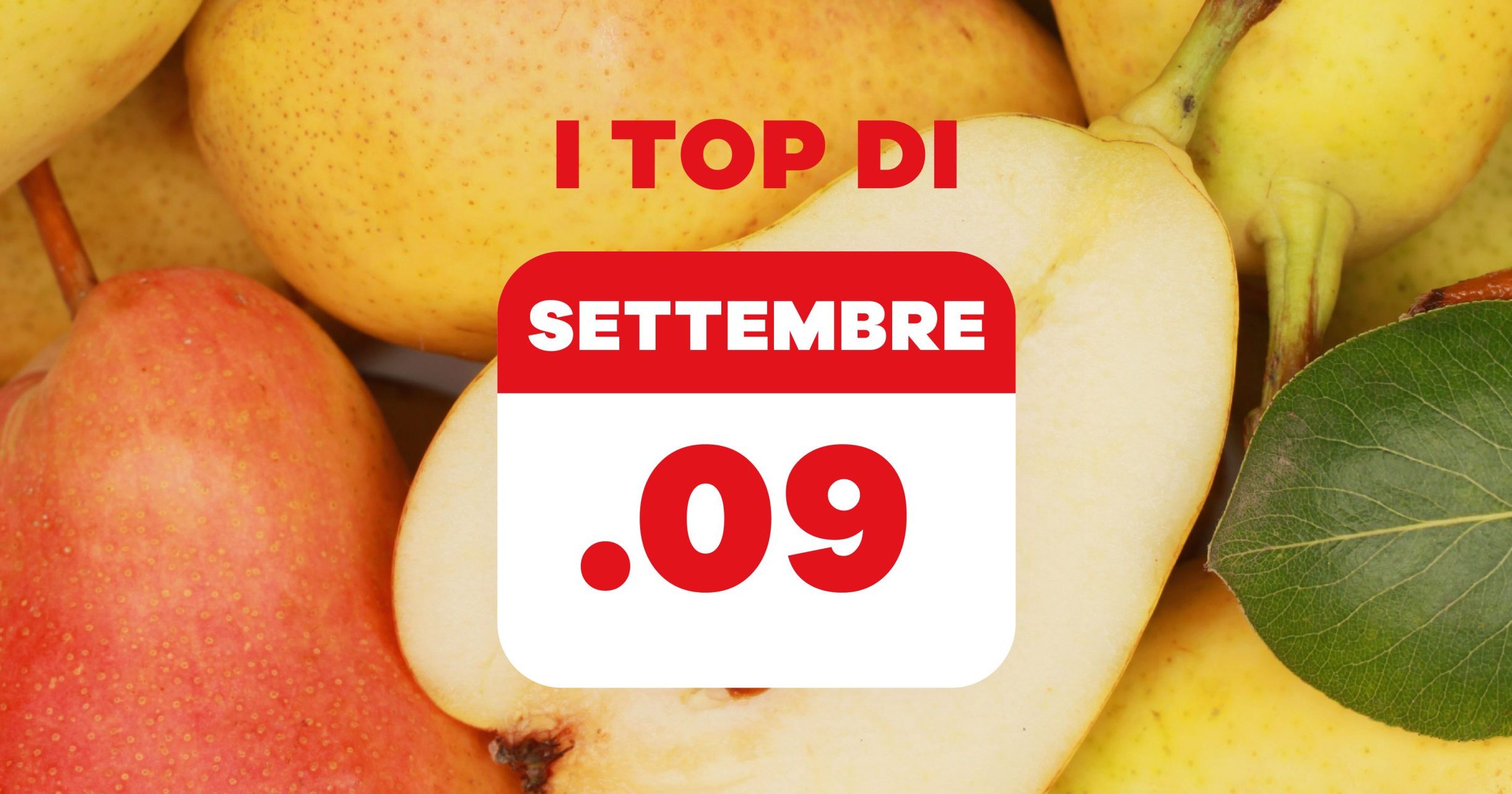 COVER SITO ARTICOLO