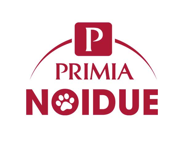 linea-pnoiduelinea-pnoidue